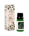 Aceite Esencial Eucalipto 10ml - Biogar
